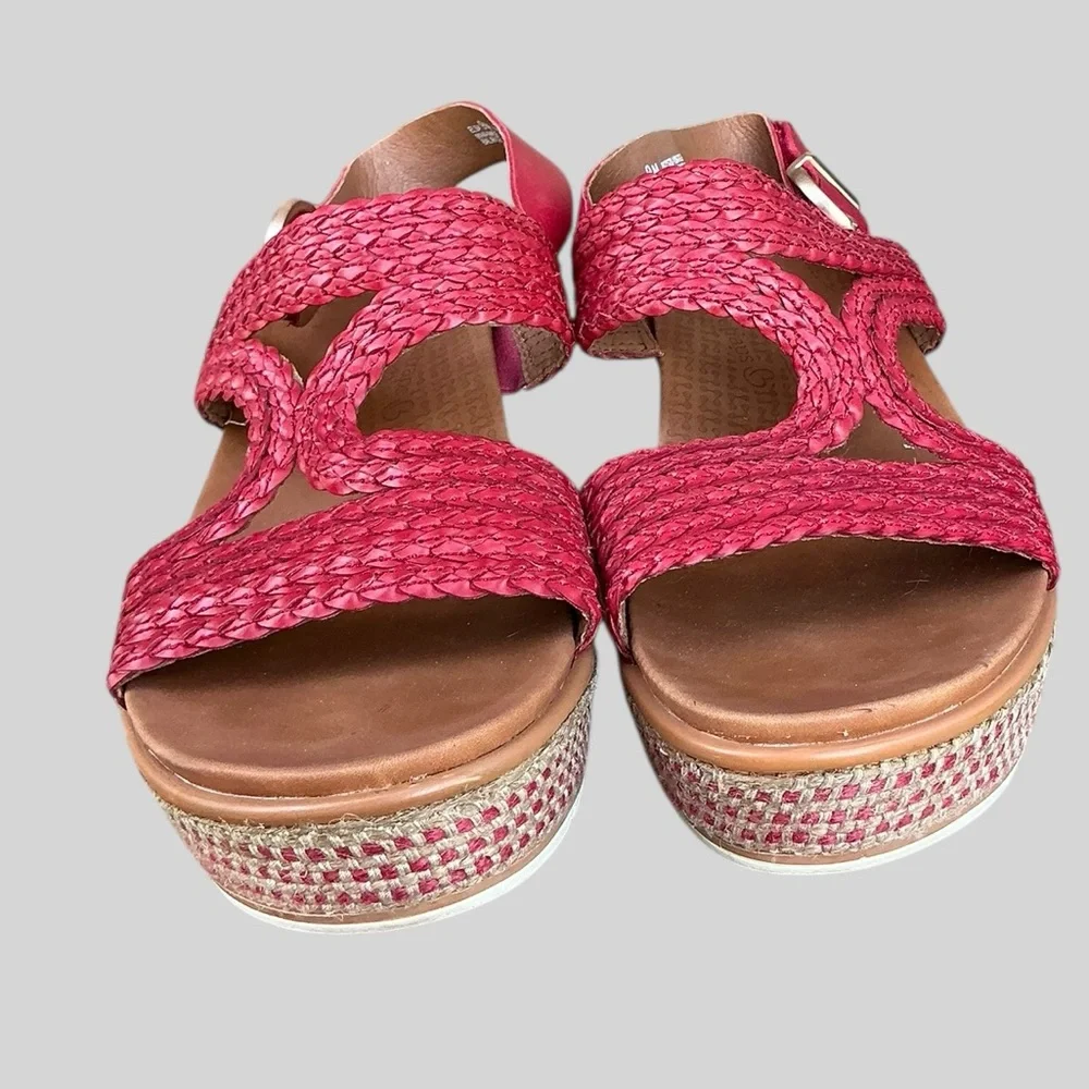 BareTraps elsa platform